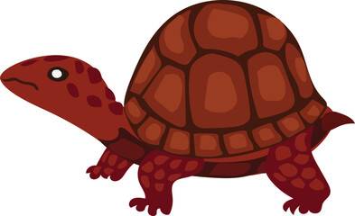 Terrapin illustration on transparent background.
