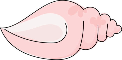 Conch for holy water in wedding thai style illustration on transparent background.
