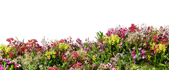 3D render garden decorated with orchids Multiple formats on a transparent background