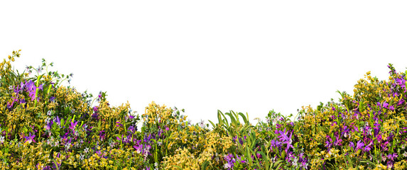 3D render garden decorated with orchids Multiple formats on a transparent background