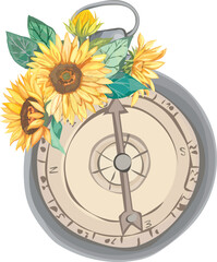 Vintage compass with sunflower on transparent background.
