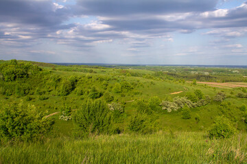 landscape with green grass and hills