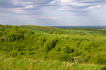 landscape with green grass and hills