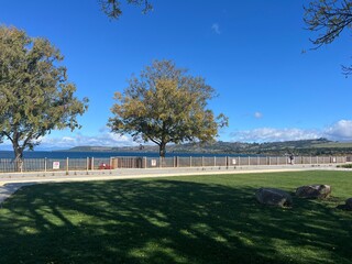 Fototapeta premium Taupo, North Island of New Zealand 