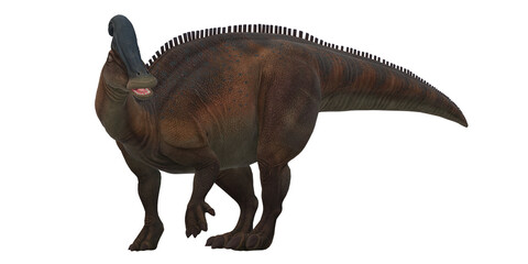 Parasaurolophus on a Transparent Background