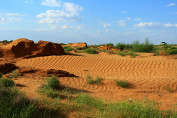 sand dunes of Kalmykia and thorns. Travelling by car