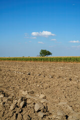 Country landscape near Fiorenzuola, Emilia Romagna, Italy