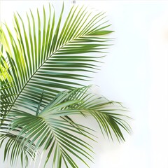 palm tree leaves on white background Generative Ai