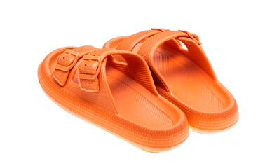 flip flops isolated