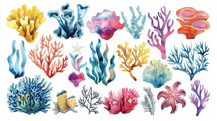 A collection of watercolor drawings of various sea plants and corals