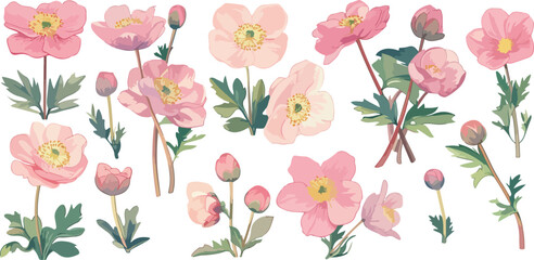 helleborus clipart vector for graphic resources