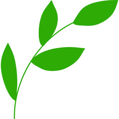 green leaves isolated on white background