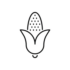 Corn  vector icon