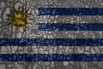flag of uruguay on a old grunge metal rusty cracked wall background