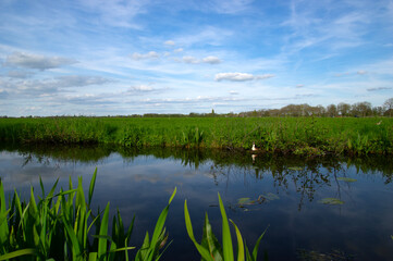 Landscape green meadow and canal with clear water