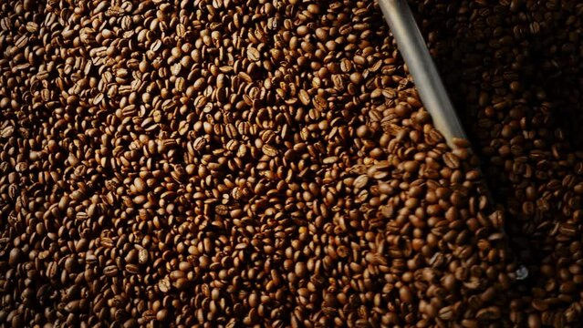 Close up of coffee beans in roaster