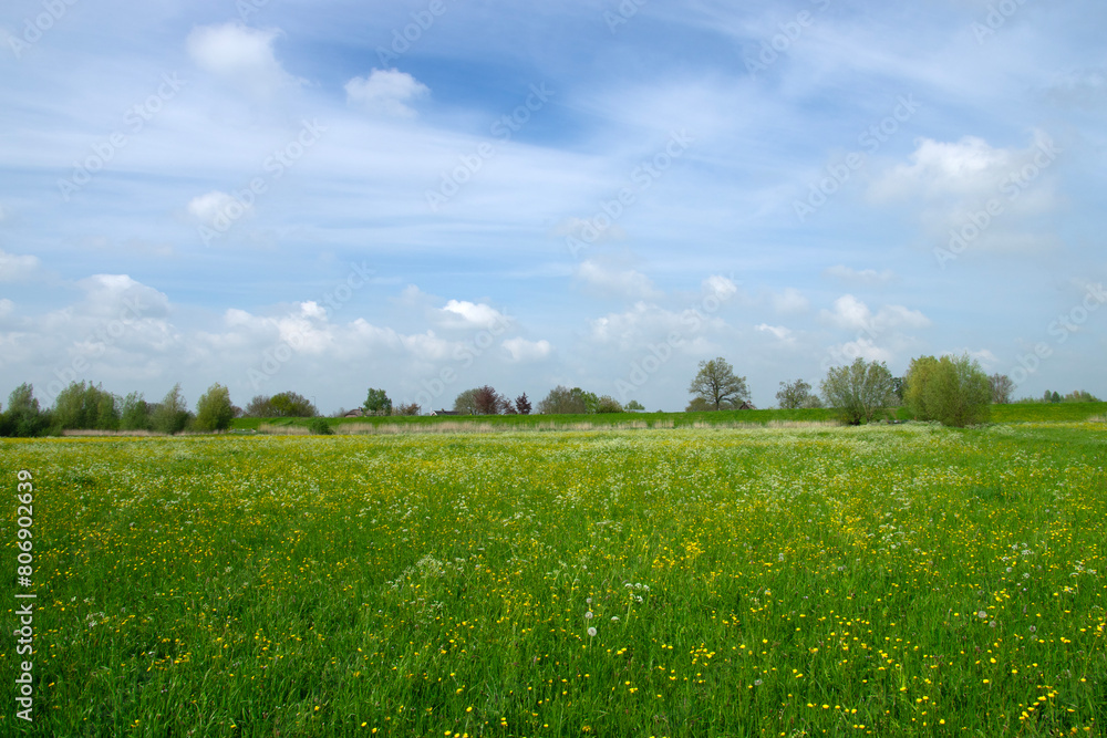 Wall mural Landscape of green meadow