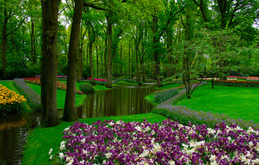 Obraz premium Spring flower park with green grass, trees and blooming flowers
