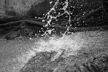 Water Droplets on Rocks: Black and White