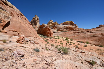 White Domes Trail in Nevada USA on a hot April day in 2024. 