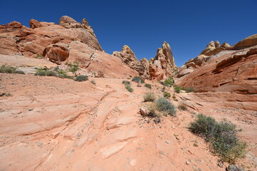 Fototapeta premium White Domes Trail in Nevada USA on a hot April day in 2024. 
