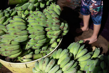 Focus on selecting lots of green bananas and placing them in piles on the floor. Farmers are bringing lots of bananas to sell in the market.
