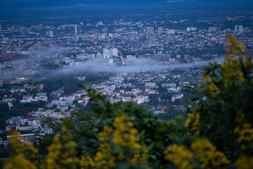 High-angle view of city lights at night, a blurred yellow flower foreground. Many buildings in Chiang Mai, Thailand city viewpoint