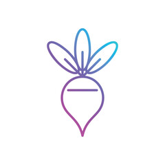 Turnip  vector icon