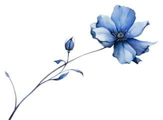 PNG Blue flower blossom petal plant