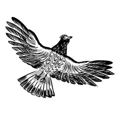 Flying grouse. Hand drawn retro styled black and white illustration