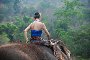 Rear view woman sitting on friendly Asian elephant in animal conservation