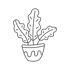 Houseplant in doodle style. Vector illustration
