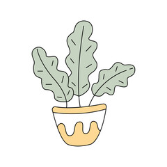 Houseplant in doodle style. Vector illustration