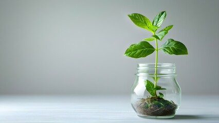 A young plant growing in a glass jar symbolizing sustainability and growth. Concept Sustainability, Growth, Plant Care, Environmental Awareness, Eco-friendly Practices