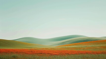 Obraz premium Panoramic view, landscape - beautiful red poppies bloom among the wheat fields on the hills. Watercolor hand drawn painting illustration.