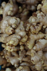 fresh ginger root