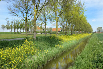 Netherlands. Springtime n Noord-Holland