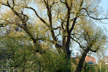 Oslo in early May.