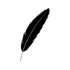 Vector feather icon, pen. Bird feather black silhouette isolated on white background. Hand drawn detailed majestic illustration. Graphic design element. Hand drawn wing feather, Vector illustration