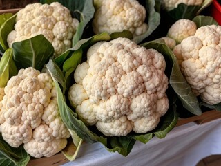 Revel in the crisp beauty of freshly harvested cauliflower on display at the local farmer's market, radiating with the brilliance of nature's bounty.