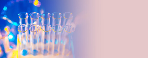 Medical test tubes. Glass flasks in plastic rack. Test tubes for blood analysis. Laboratory...
