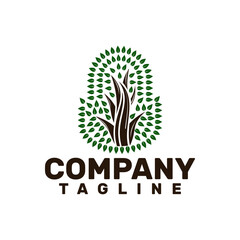 oak tree in the shape of acorn an oak fruit