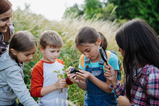 Young students learning about nature during biology field teaching class, observing wild plants with magnifying glass and pocket microscope. Dedicated teachers during outdoor active education.