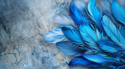 Eagle feathers in a range of blues artistically set against grey marble.
