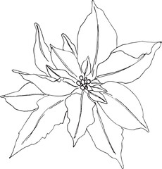 Abstract flower in continuous line art drawing style. Black linear sketch isolated on white background. Vector illustration