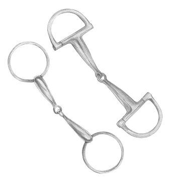 Watercolor illustration of silver snaffle, bit with D-Ring and circle rings. Equipment for horse riding metal set. Isolated. For cards, prints, decor