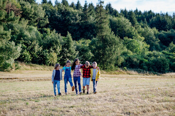 Portrait of young classmates, students during biology field teaching class, walking across meadow. Learning about ecosystem, ecology.