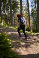 Woman hiker with backpack in a pine forest