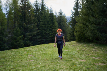Obraz premium Woman hiker with backpack in a pine forest