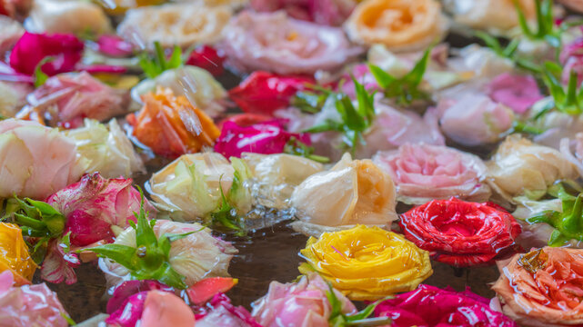 Too Many Roses
